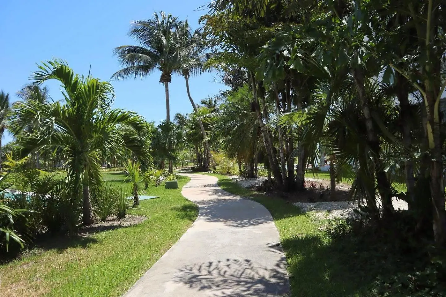 Exclusive Ocean-View Condo In Riviera Maya Playa del Carmen Apartmán